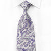Renoma Men’s Crystal Rhinestone Necktie Paisley On Mauve 
